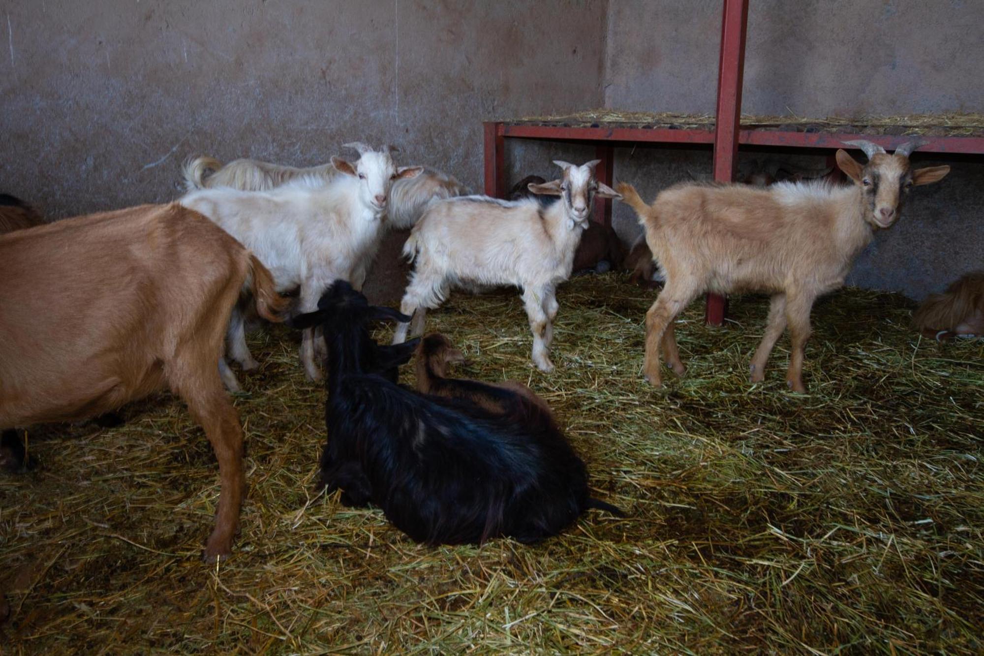 La Ferme De Lalladom Tameslouht Eksteriør bilde