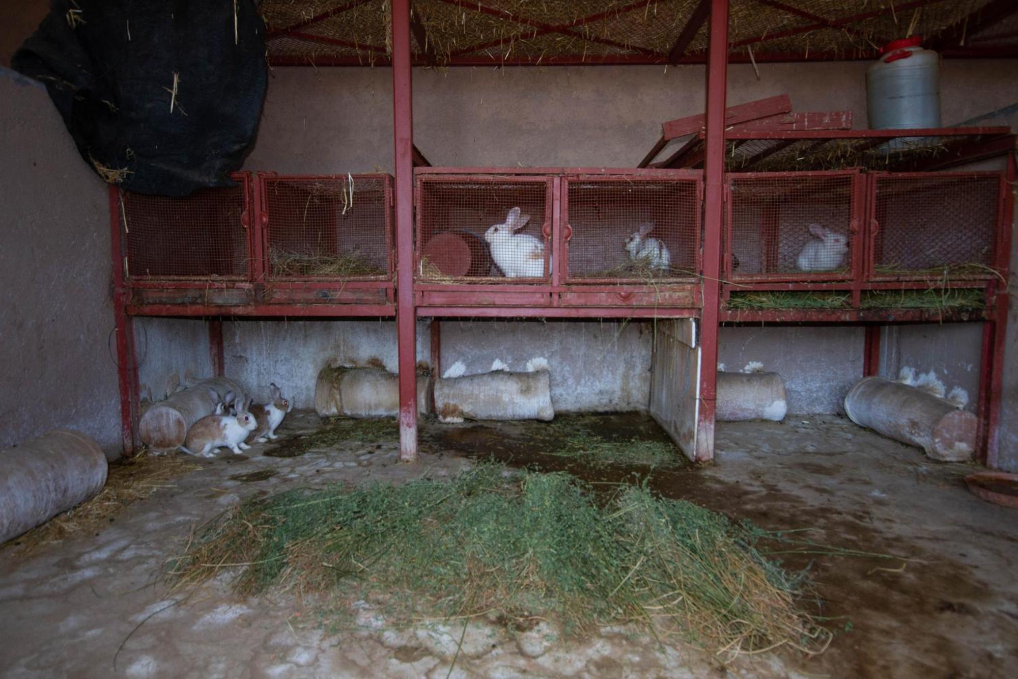 La Ferme De Lalladom Tameslouht Eksteriør bilde